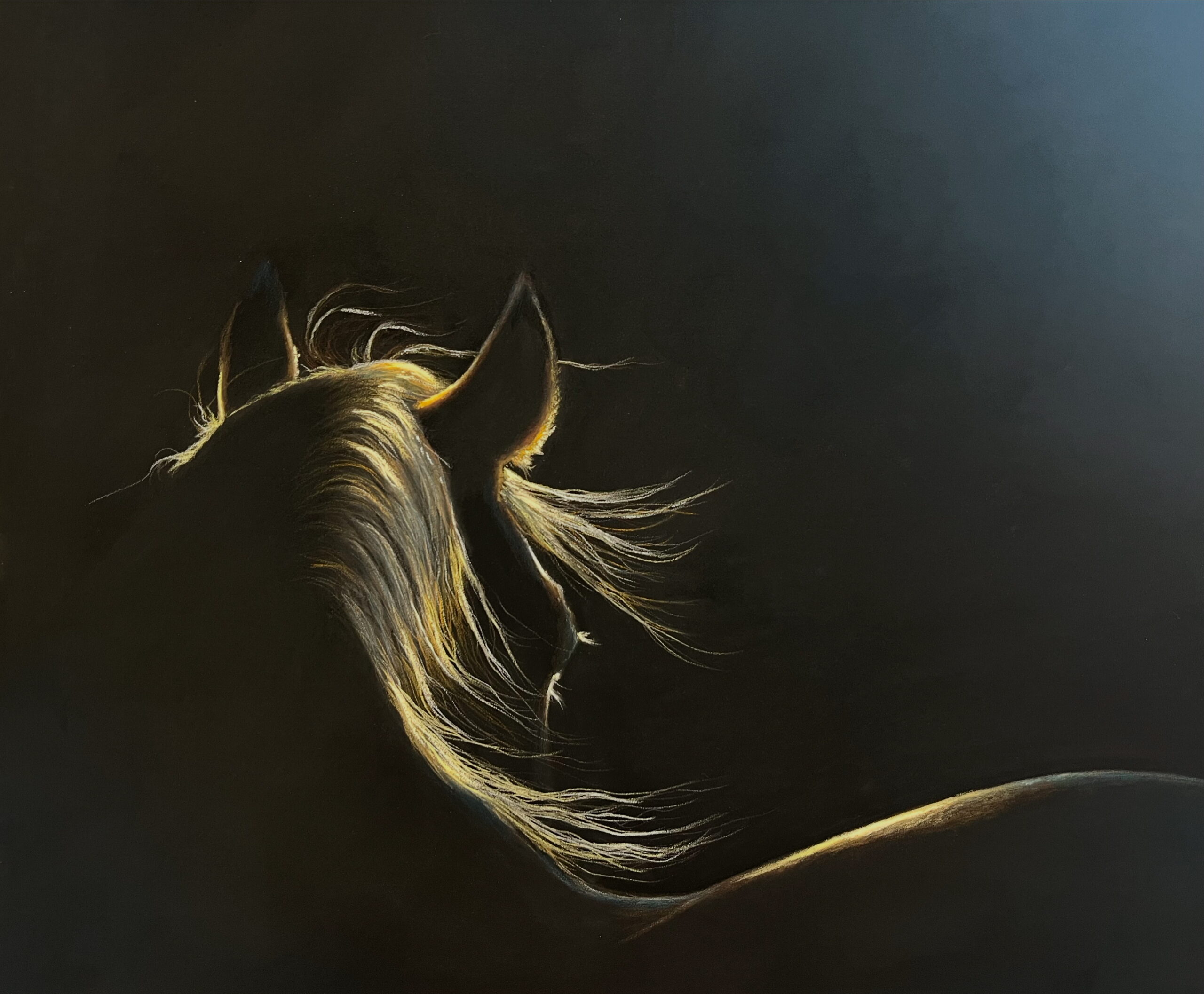 Nicola Eastell. Tactus Lucis