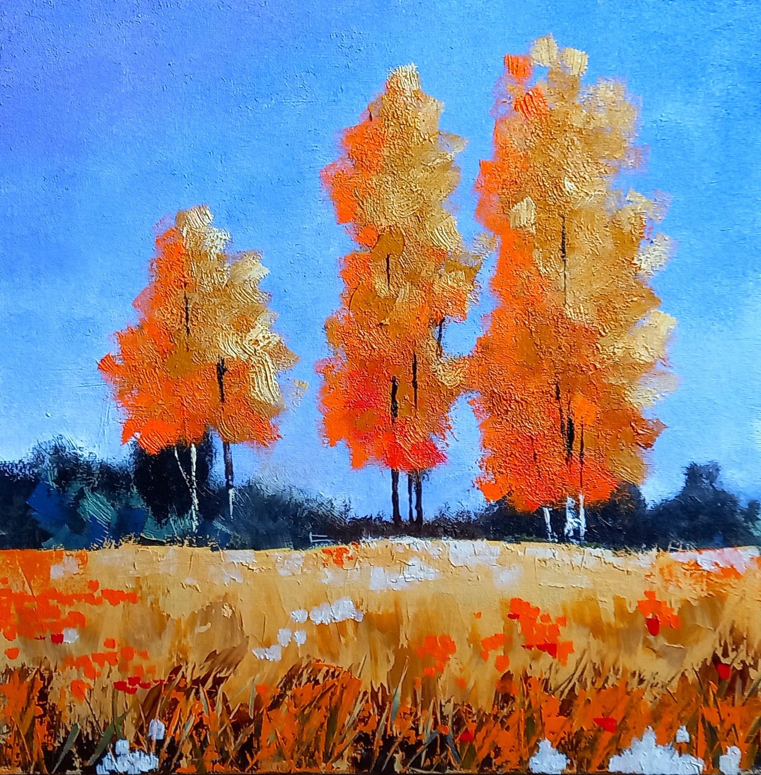 Colin Ayers 1