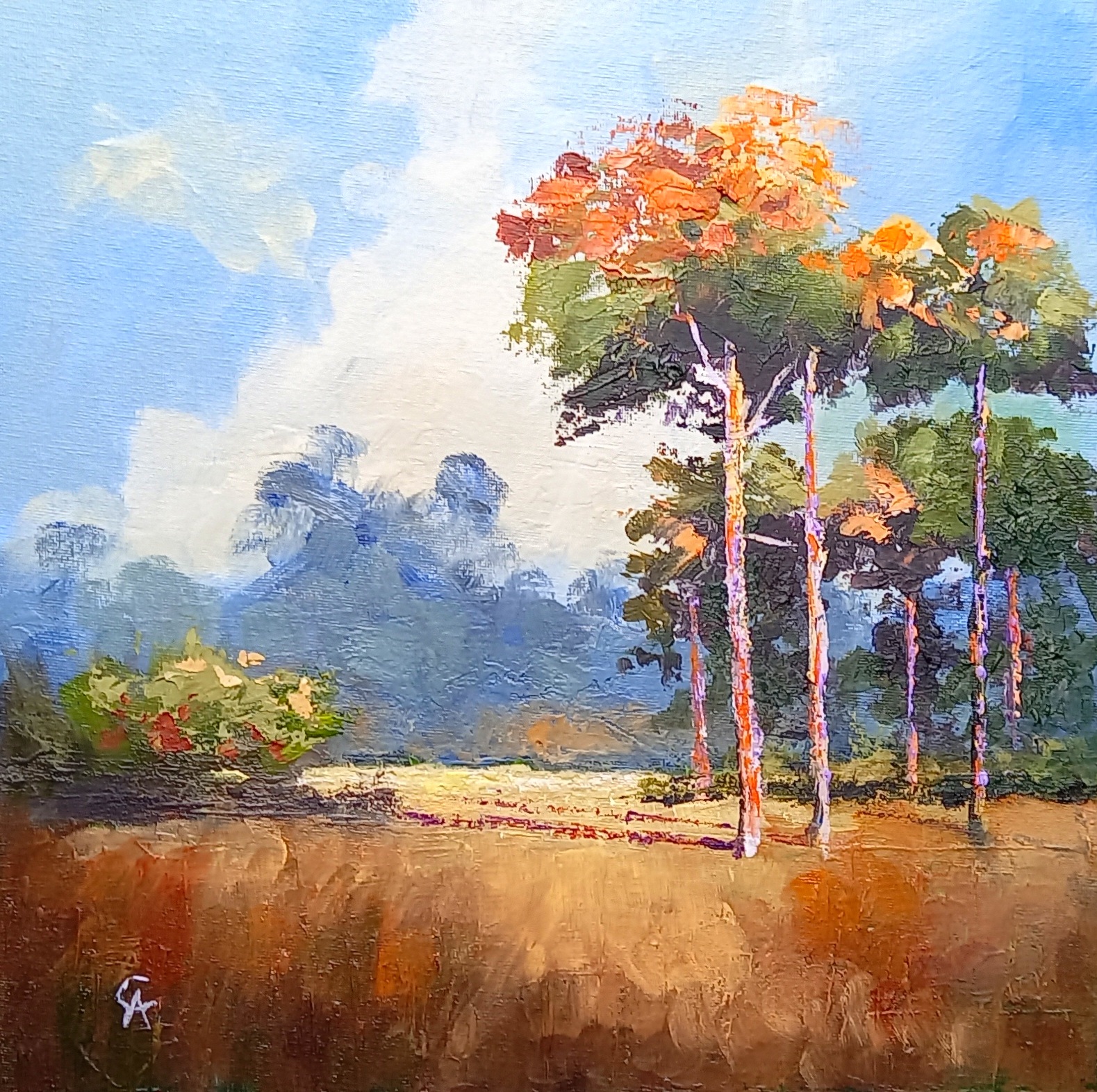 Colin Ayers 3